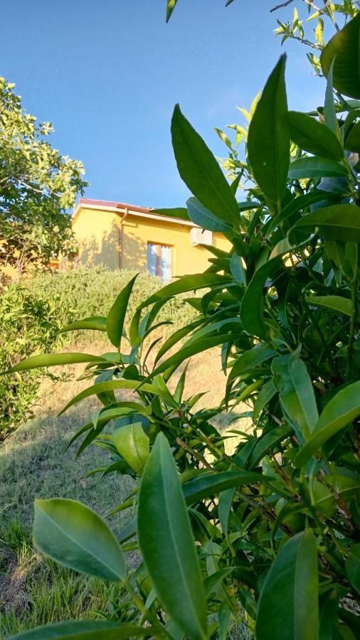 Agriturismo I Ciliegi Appartamento Ginestra Montignano Exterior photo